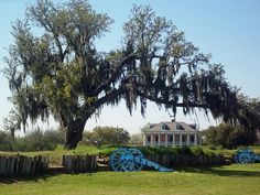 a large tree with spanish moss hanging from it's branches in front of a house