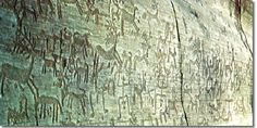 an image of some writing on the bark of a tree