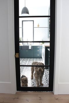 two dogs are standing in front of the door looking out at the kitchen and living room