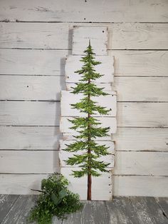 a small pine tree sitting on top of a wooden table