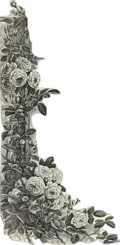 a drawing of a tall tower with roses on it's side and leaves growing out of the top