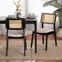 two chairs sitting at a table in front of a potted plant on top of a rug