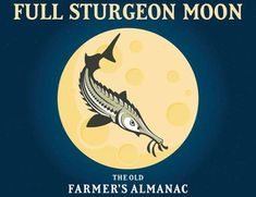 the old farmer's almanacc logo is shown in front of a full moon