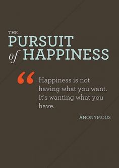 the pursuit of happiness is not having what you want it's wanting what you have