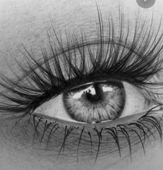 an eye is shown with long eyelashes