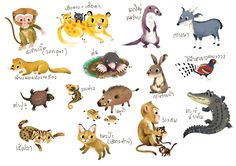 an animal chart with different types of animals