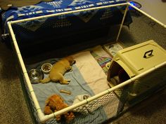 a small dog laying on top of a blue blanket in a pet carrier next to a stuffed animal