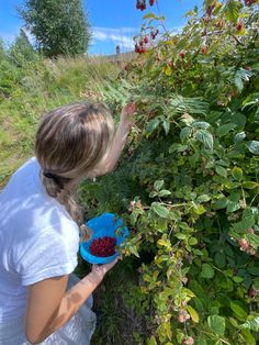 a woman picking berries from a bush on a sunny day