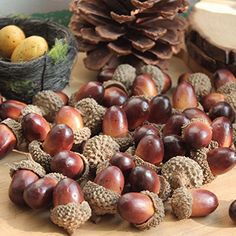 an image of some nuts and pine cones on a table