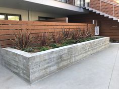 a concrete planter with succulent plants in front of a building and stairs