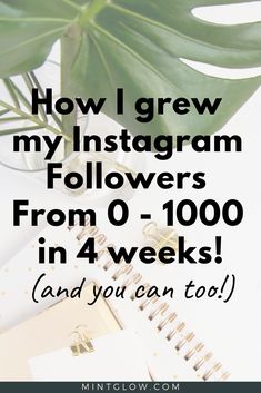 a notebook with the words how i grew my instagram followers from 0 - 100 in 4 weeks and you can too