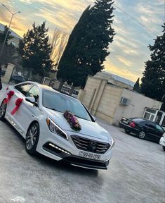 a white car parked in front of a building with red bows on it's head