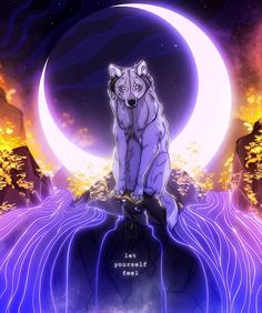 a wolf sitting on top of a mountain with the moon in the sky behind it