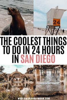 the coolest things to do in 24 hours in san diego with text overlay