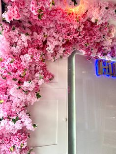 pink flowers are growing on the side of a wall next to a mirror that reads, hello