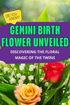 Gemini Birth Flower Gemini Birth Flower, How Can