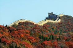 the great wall of china is surrounded by trees with orange and red leaves on it