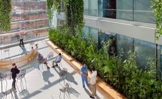 people are walking around in an open area with plants growing on the side of the building