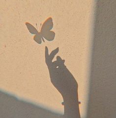 a shadow of a hand holding a butterfly