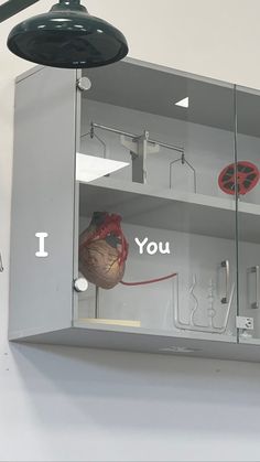 a metal shelf with some glass shelves on top of it and two red balls in the middle