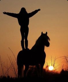 a person standing on top of a horse in front of the sun with their arms outstretched