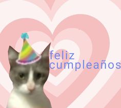 a cat wearing a party hat with the words feliz cumpleanos