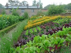 a garden with many different types of plants and flowers in front of an old building