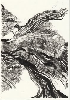 an ink drawing of a tree in black and white, with the branches bent back