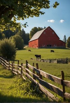 Vintage Animal Photo: A classic farm scene with a vibrant red barn nestled among verdant fields, where cows graze peacefully behind a rustic wooden fence. Farm Scene Photography, Aesthetic Farm Pictures, Rustic Farm Aesthetic, Farm With Cows, Farm In The Mountains, Old Barn Aesthetic, Farm Stand Aesthetic, Farm Animal Photography, Dairy Farm Aesthetic