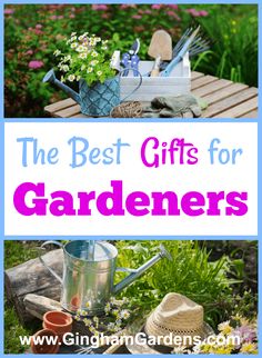 Gingham Gardens has the funnestmost creative Gift Guide for Gardenersincluding the best gardening toolsthe best tools for senior gardeners and whimsical garden decor gift ideasgardenersgiftguide Gardening Gift Ideas, Garden Gift Ideas, Whimsical Garden Decor, Secret Friend, Garden Frogs, Perennial Flower