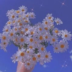 a vase filled with lots of white daisies on top of a blue sky background