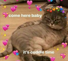 a cat is laying on the floor with hearts and stars around it that says, come here baby it's cuddle time