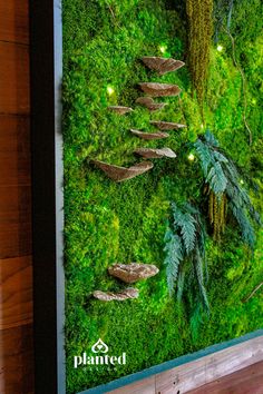 a moss covered wall with steps leading up to the trees and plants in front of it