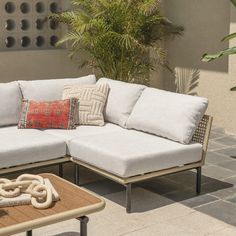 a white couch sitting on top of a wooden table next to a potted plant