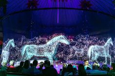 people are sitting in front of a large screen with horses projected on it at night