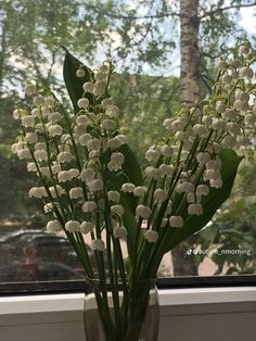 a vase filled with white flowers next to a window