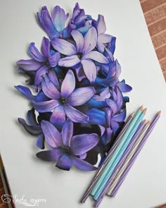 purple flowers and two pencils on a white paper