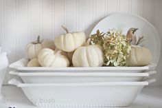 white pumpkins and gourds sit in front of a plate