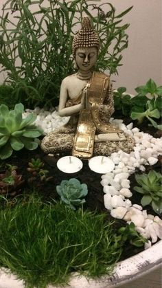 a buddha statue sitting on top of a lush green plant filled bowl with rocks and succulents