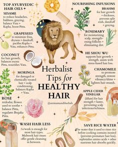 Herbs For Cervical Health, Herbal Medicine For Beginners, Herbs For Health Herbal Teas, Anti Viral Herbs, Healthy Herbs Natural Remedies, Best Herbs For Womens Health, Herbs For Hormonal Imbalance, African Herbalism, Herbal Eats