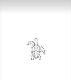 a drawing of a turtle on a white background