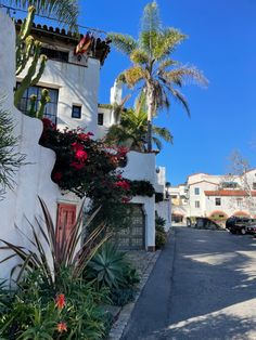 a white building with red flowers and palm trees on the street in front of it