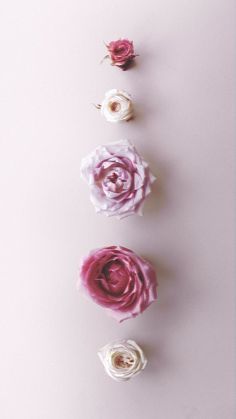 three different types of flowers on a white surface