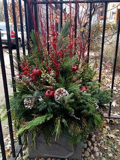 a potted plant with red berries and greenery on the ground in front of a gate