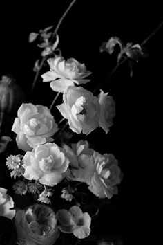 black and white photograph of flowers in a vase