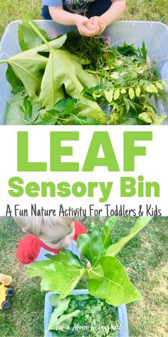 a young boy is playing with leaves in the garden and text overlay reads leaf sensory bin