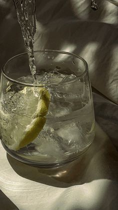 a glass filled with water and a lemon wedge