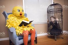 a woman sitting in a chair next to a bird cage and reading a book royalty photo