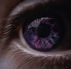 the iris of a purple eye looking straight ahead