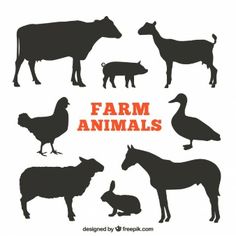 farm animals silhouettes are shown in black and red colors, with the words farm animals below them